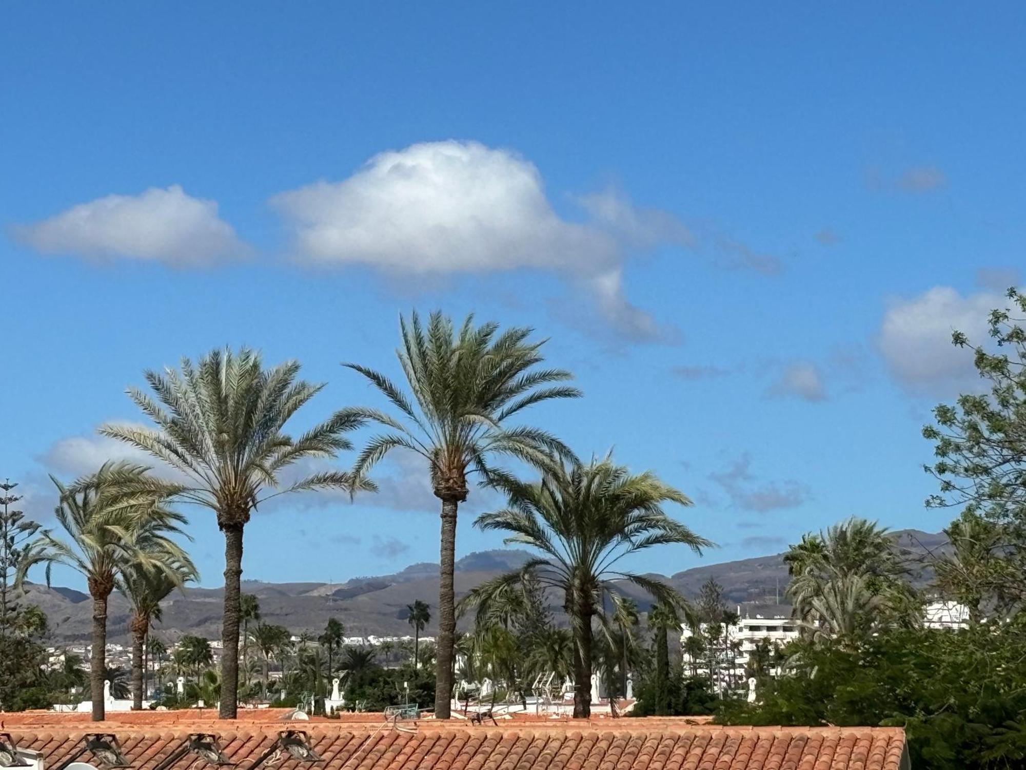Loris Home Playa Ingles 50Mt From Yumbo By Luca Properties Gran Canaria San Bartolomé Luaran gambar